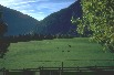 [Lade das Bild]